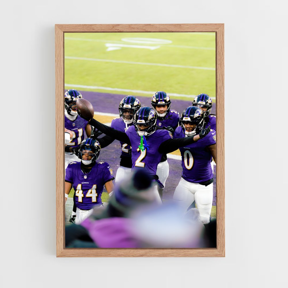 Poster Esprit Raven (vue 4)